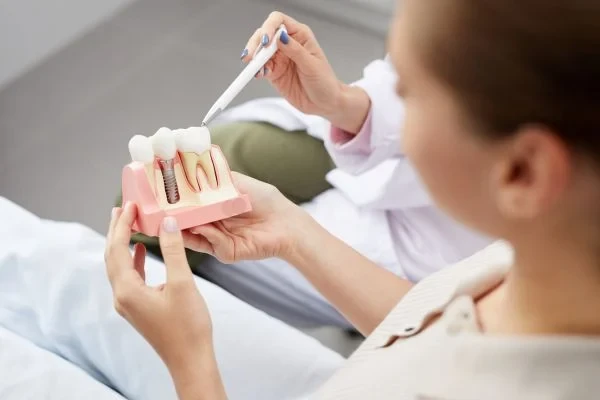 A dentist explaining tooth replacement with a dental model